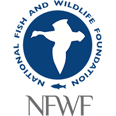 National Fish and Wildlife Foundation